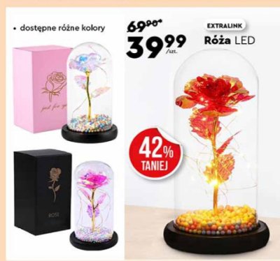 Róża LED promocja w Biedronka