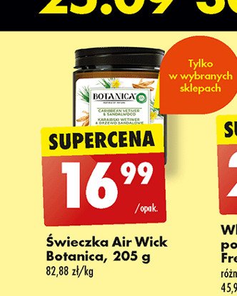 Świeca zapachowa karaibski wetiwer i drzewo sandałowe Air wick botanica promocja