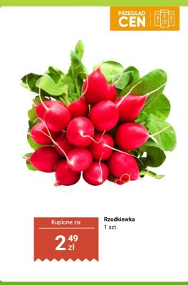 Rzodkiewka 1 szt. Dino promocja w Dino