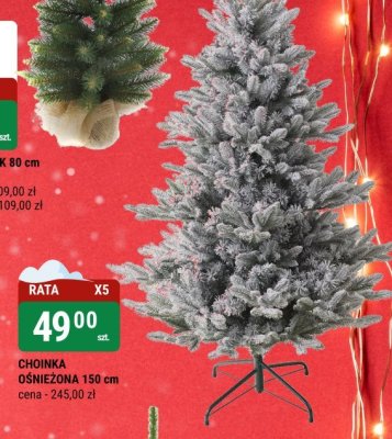 Choinka promocja w bi1