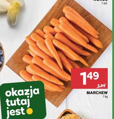 Marchewka promocja w Stokrotka