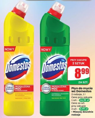 Płyn do mycia WC Domestos promocja w Dino