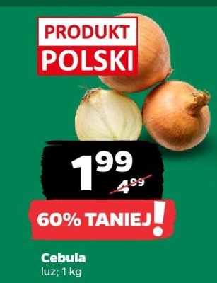 Cebula luz Netto promocja w Netto