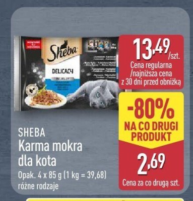 Karma mokra dla kota promocja w Aldi