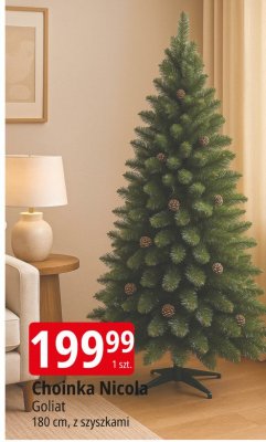 Choinka Nicola Goliat 180 cm, z szyszkami promocja w Leclerc