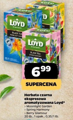 Herbata promocja w Netto