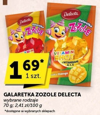 Galaretka Zozole Delecta wybrane rodzaje promocja w Euro Sklep