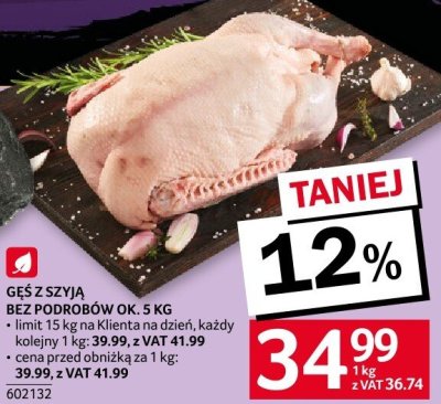 G臋艣 z szyj膮 Selgros promocja