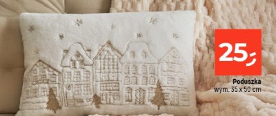Poduszka wym. 35 x 50 cm promocja w Dealz