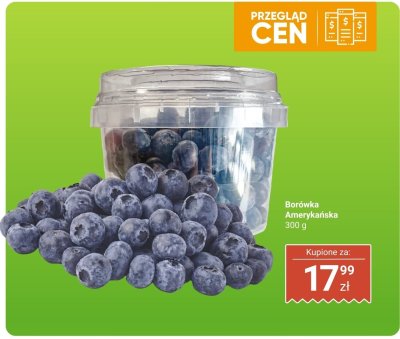Borówka amerykańska 300 g Dino promocja