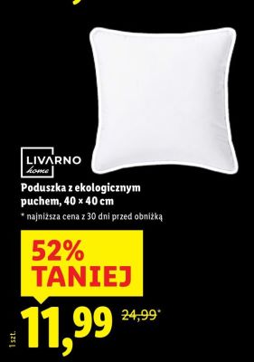 Poduszka z ekologicznym puchem 40 x 40 cm promocja w Lidl