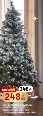 Choinka promocja w Castorama