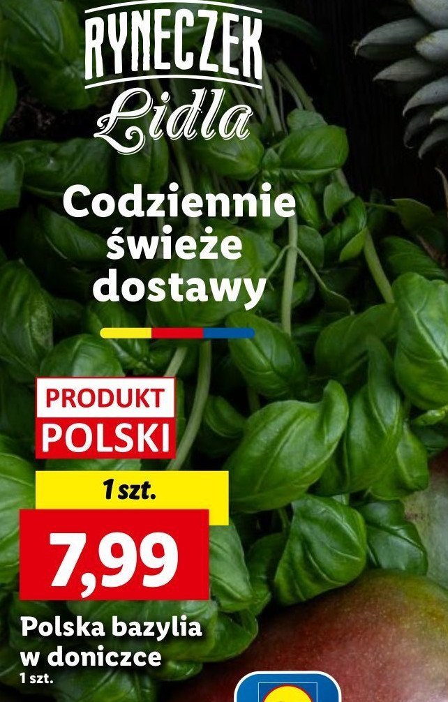 Bazylia promocja