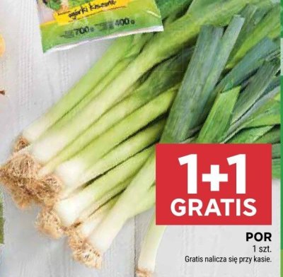 Por promocja w Stokrotka