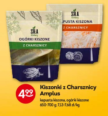 Og贸rki kiszone charsznickie Amplus promocja