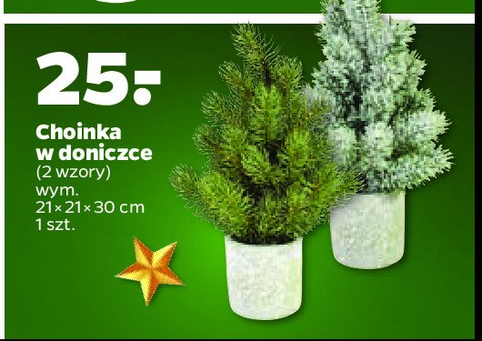 Choinka w doniczce promocja