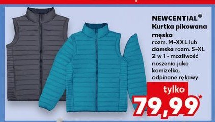 Kurtka pikowana damska Newcential promocja w Kaufland