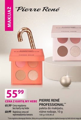 PIERRE RENÉ PROFESSIONAL paleta do makijażu różne rodzaje promocja w Hebe