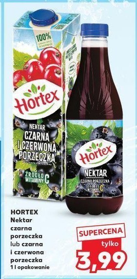 Nektar czarna porzeczka Hortex promocja