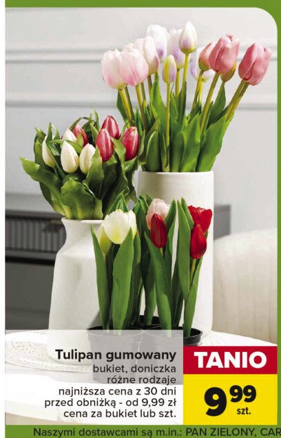 Tulipan gumowany promocja