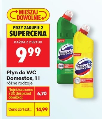 Płyn do WC Domestos, 1 l promocja w Biedronka