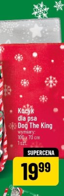 Kocyk dla psa 100 x 70 cm promocja w POLOmarket
