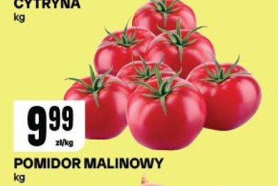 Pomidor malinowy promocja w Chorten