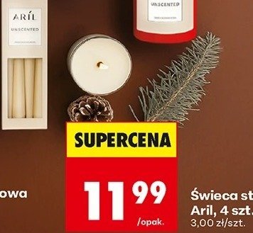 Świeca stożek Aril 4 szt. promocja w Biedronka