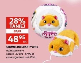 Chomik interaktywny promocja