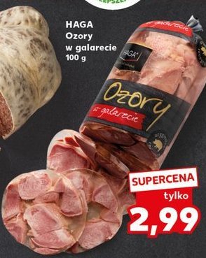 Ozory w galarecie Haga promocja