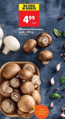 Pieczarka brunatna, opak. 250 g promocja w Biedronka