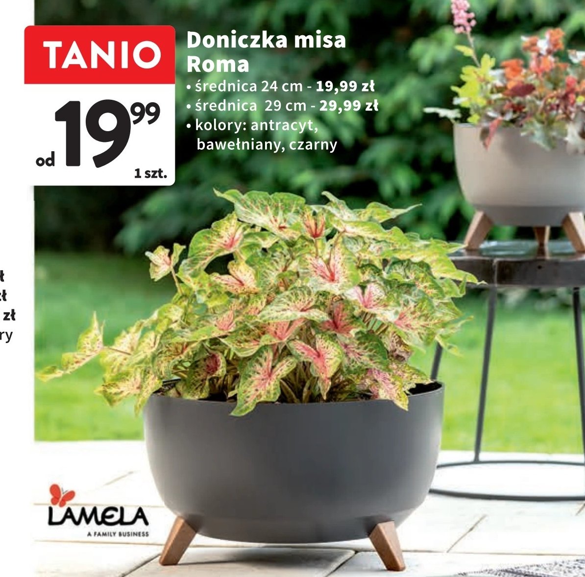 Doniczka roma 24 cm czarny Lamela promocja w Intermarche