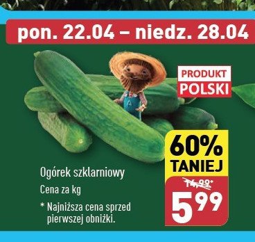 Ogórek szklarniowy polska promocja w Aldi