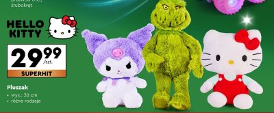 Pluszak, różne rodzaje promocja w Biedronka