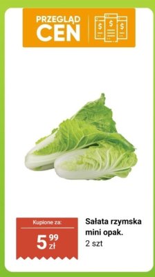 Sałata rzymska mini opak. 2 szt promocja w Biedronka