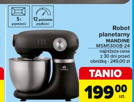 Robot planetarny msm1300b-24 Mandine promocja w Carrefour Market