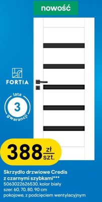 Skrzydło drzwiowe Credis z czarnymi szybkami promocja w Castorama