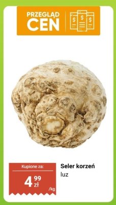 Seler korzeń luz promocja w Biedronka