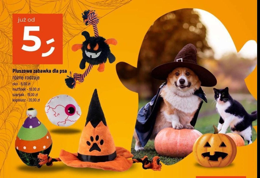 Szarpak dla psa halloween promocja w Dealz