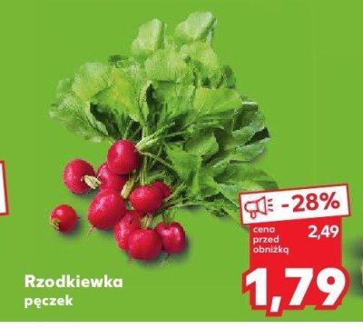 Rzodkiewka pęczek promocja w Kaufland