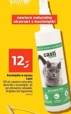 Kocimiętka w sprayu Casti promocja w Dealz