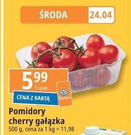 Pomidory cherry gałązka promocja