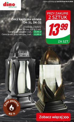 Znicz promocja w Dino