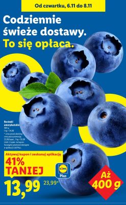 Borówki amerykańskie 400 g promocja w Lidl