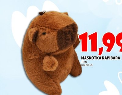 Maskotka promocja w TOPAZ