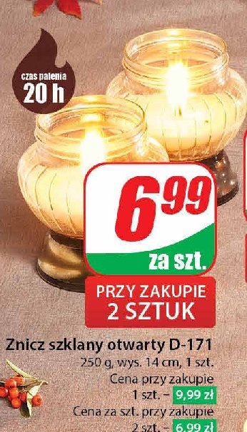 Znicz otwarty d-171 promocja w Dino