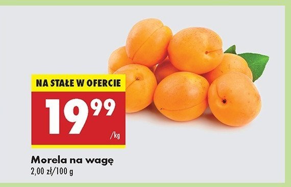 Morela promocja w Biedronka