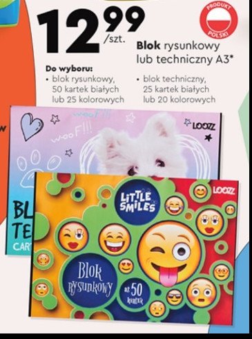 Blok rysunkowy a3/25k. kolorowych Loozz promocja