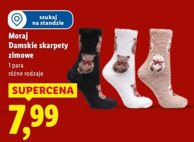 Skarpety zimowe Moraj damskie promocja w Lidl