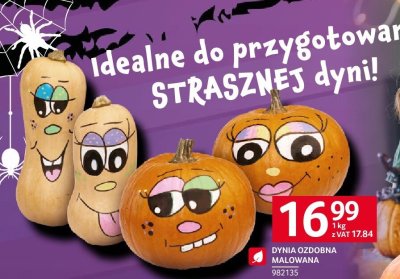 Dynia promocja w Selgros